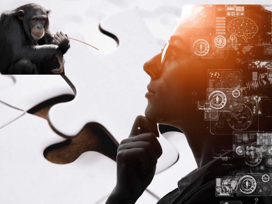 Lire la suite à propos de l’article Edition de la Fête de la science 2025 dédiée aux(s) intelligence(s)